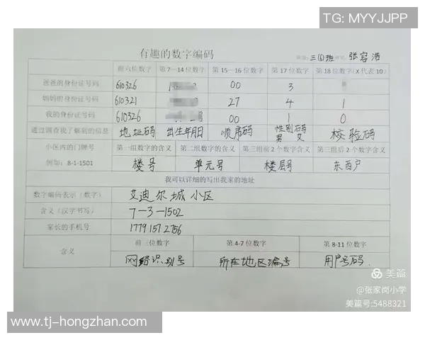 430喷injuly比赛编号-探索数字之峰—看赛事中的独特标识，430喷与Injuly比赛编号的魅力展现-430喷injuly比赛编号